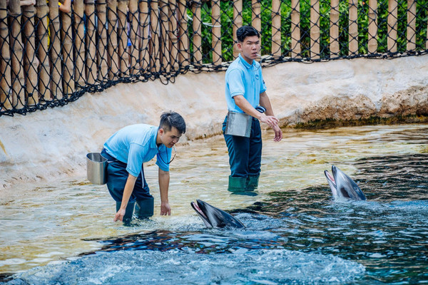 珠海长隆旅游攻略一天自由行,珠海长隆旅游攻略三天自由行