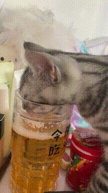 这只鹦鹉一直以为他是一只猴，所以每天都在重复做这个动作