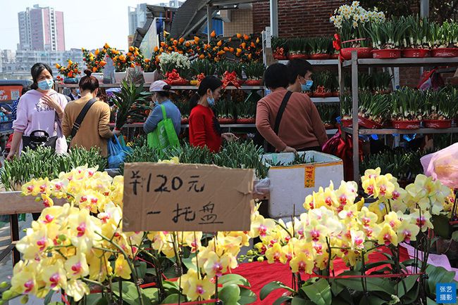 广州逛花市去哪里最好,广州岭南花卉市场人气旺似行花街
