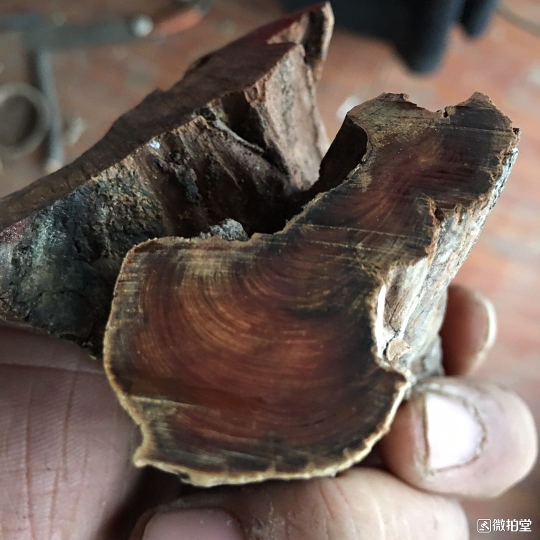 沉香好还是崖柏好,沉香檀香崖柏排名