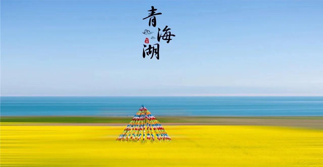 赏油菜花攻略,寻找最美油菜花可去这十大景点