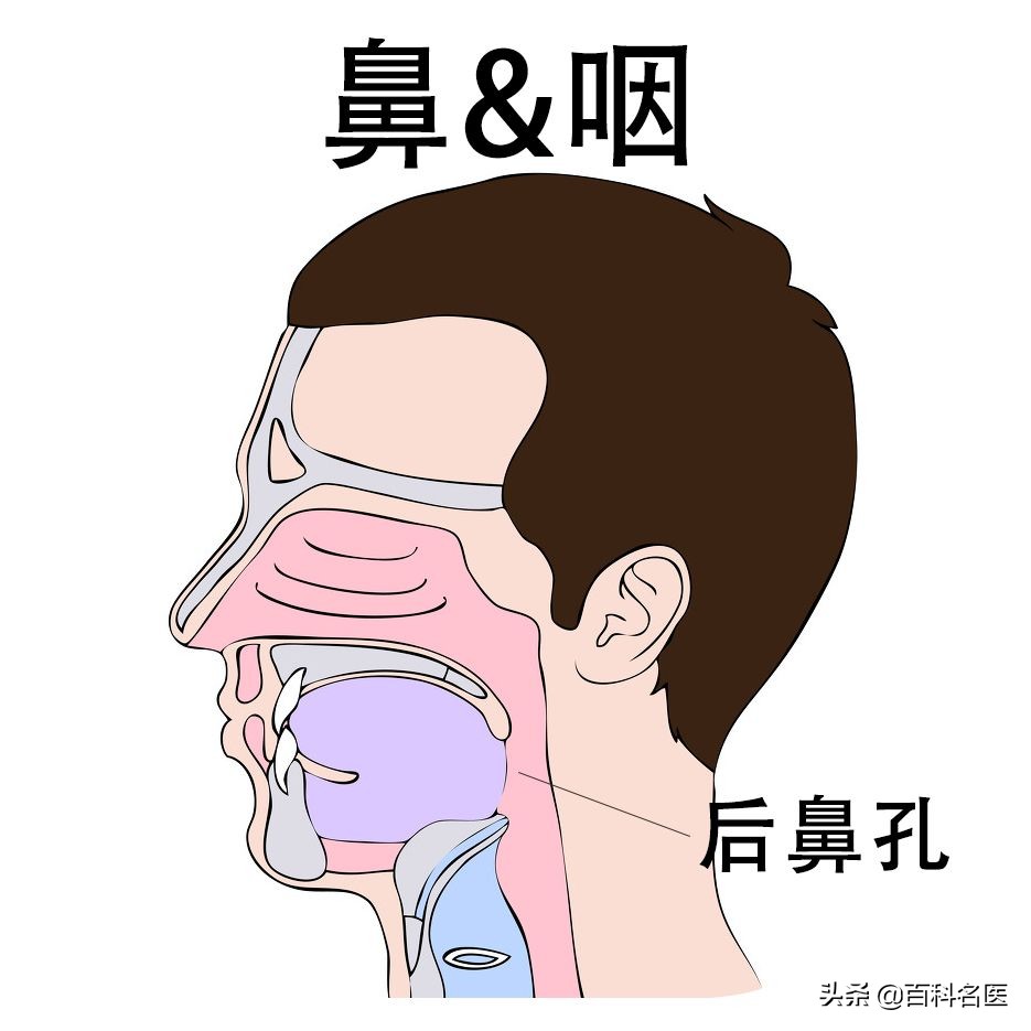 鼻炎和咽炎一起犯咳嗽厉害吗,鼻炎刺激嗓子咳嗽用哪个药缓解好
