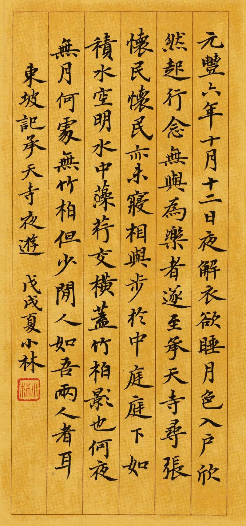 放学回家作文,走在放学回家的路上作文