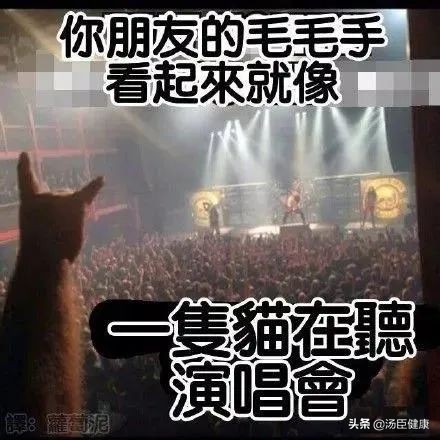 身上的皮肤可以移植到脸上吗,毛发可以移植到头皮吗