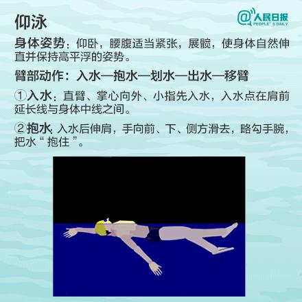 游泳的四种泳姿全学会要多久,游泳必学的四种泳姿你掌握了几种