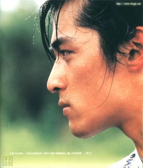 虎扑直男审美原因,虎扑直男票选