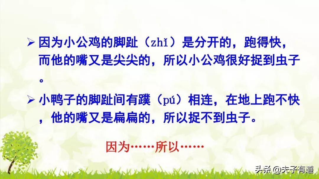 一年级下小公鸡和小鸭子看图写话,一年级下册小公鸡和小鸭子第五课