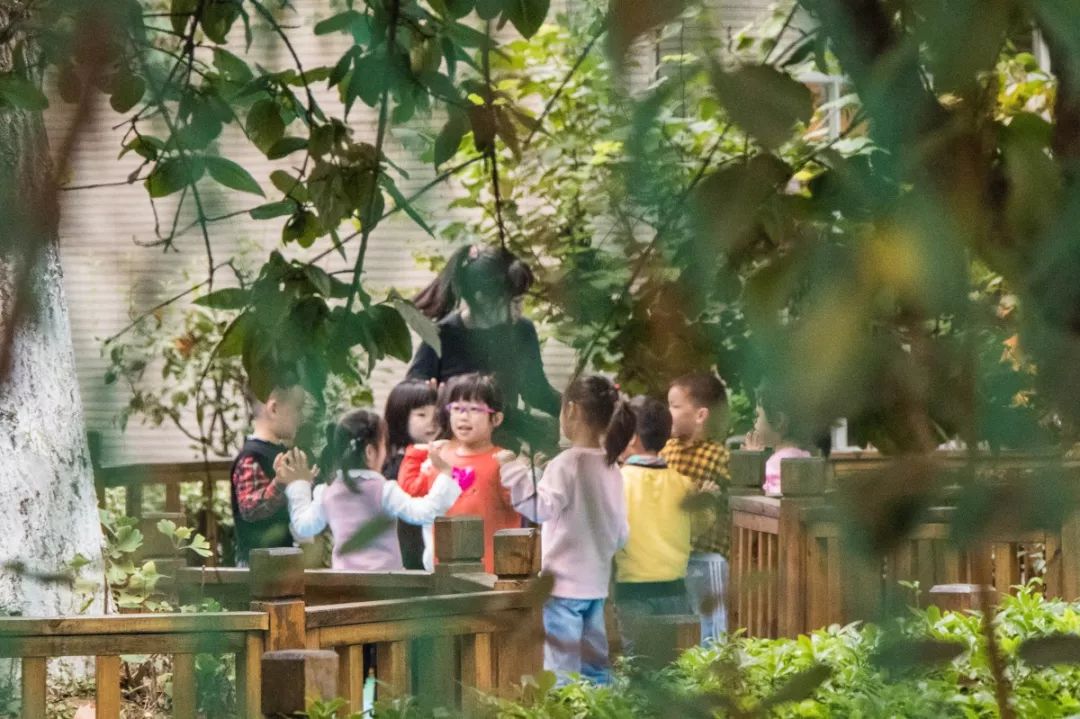 长长长长长白街，串起秦淮白下的爱恨情仇