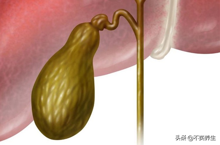 治疗肝硬化肝性脑病的饮食,肝硬化患者的营养治疗原则