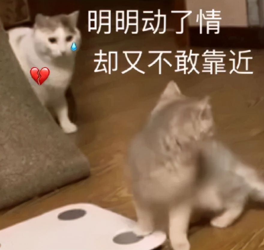 快手是否值得信任 (快手的信任度)
