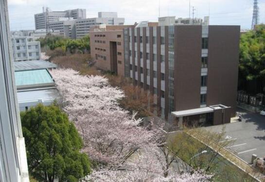 日本法政大学大学难考吗？