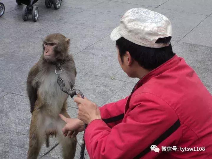 命运真会捉弄人,命运挺会捉弄人