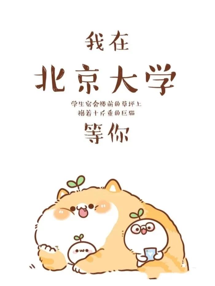高三静不下心复习怎么办,高三领会静不下心