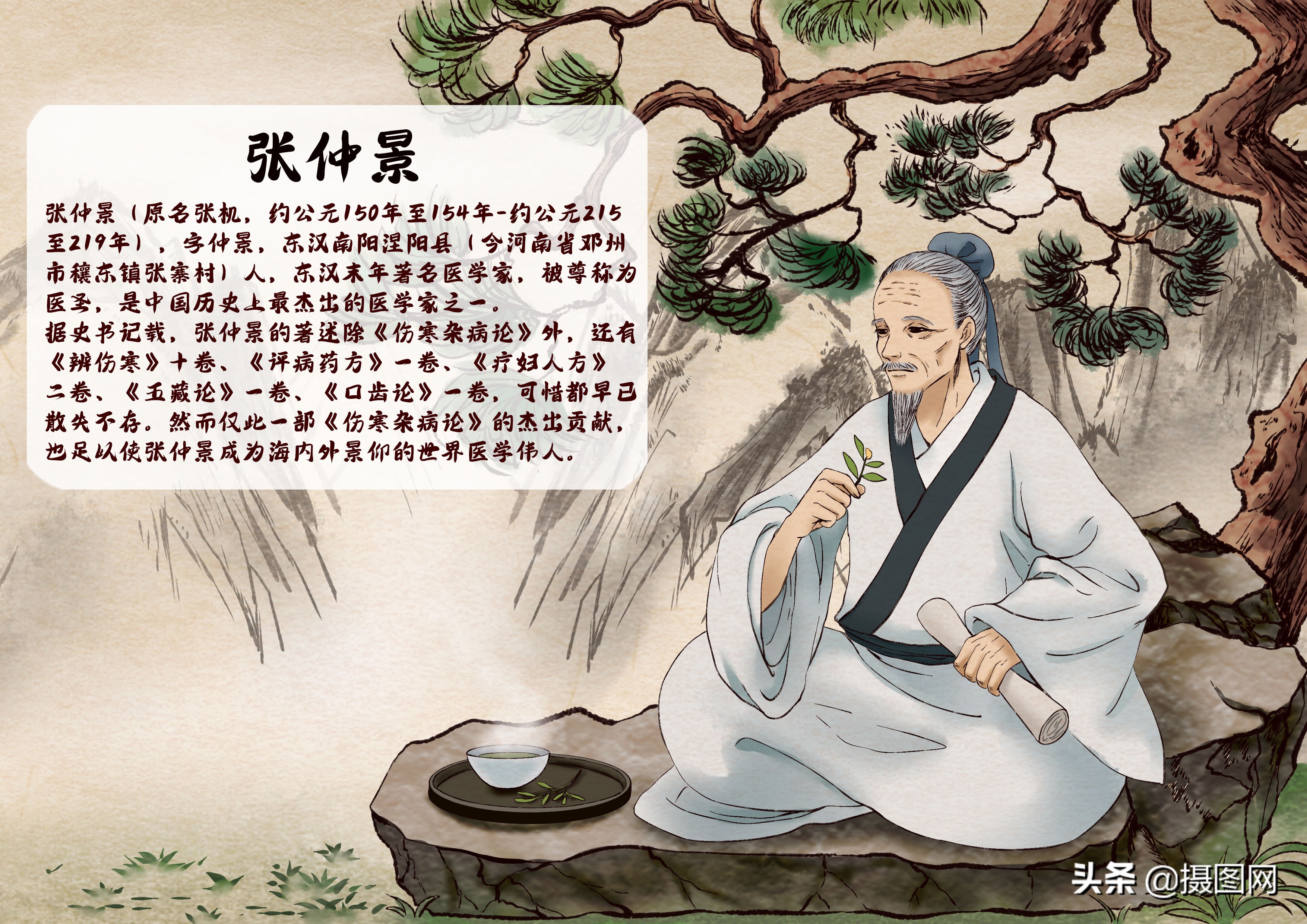 中医十种绝美插画,中医小插图