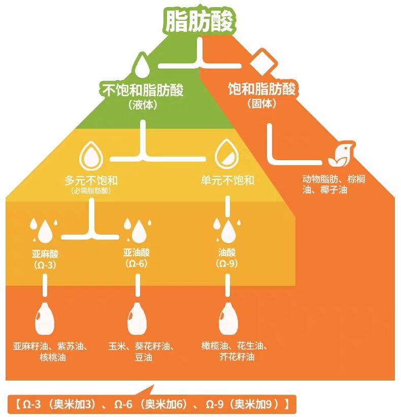油需要一直换吗,油怎么吃更健康