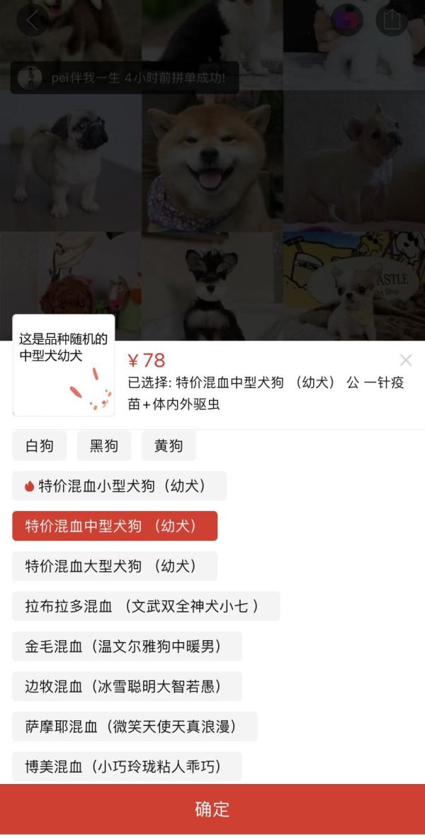 “宠物盲盒”再次秘密上架：血染的快递，是宠爱还是*杀虐**