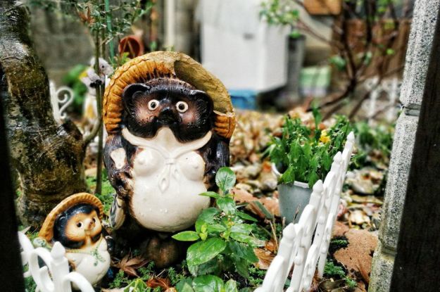 王思聪李易峰综艺节目,王思聪李易峰玩游戏