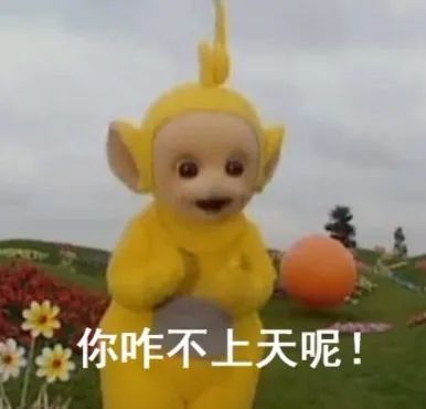 蛋白粉鸡蛋白区别,蛋粉和蛋质粉什么区别