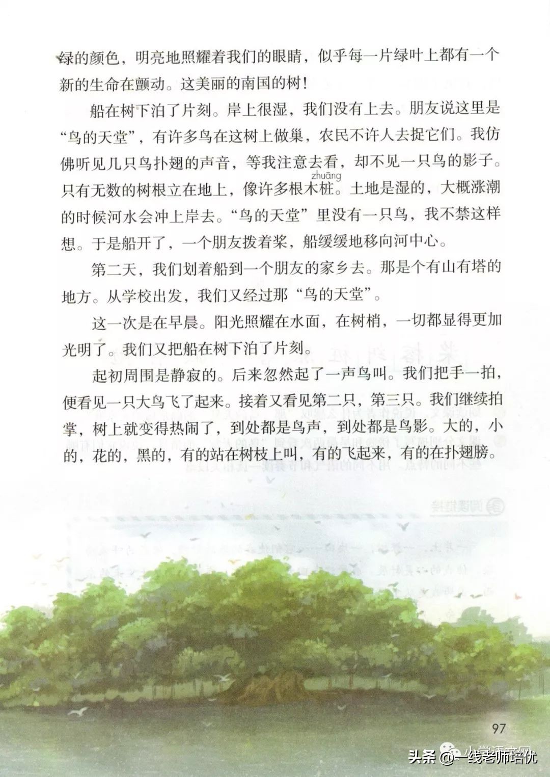 五年级上册语文23课鸟的天堂笔记,部编版五年级上册第23课鸟的天堂