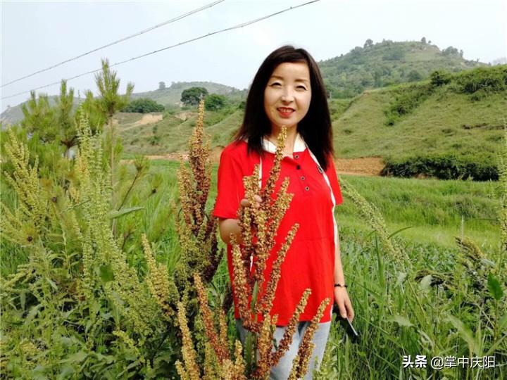 甘肃庆阳驻村干部王红梅：真情像梅花开过