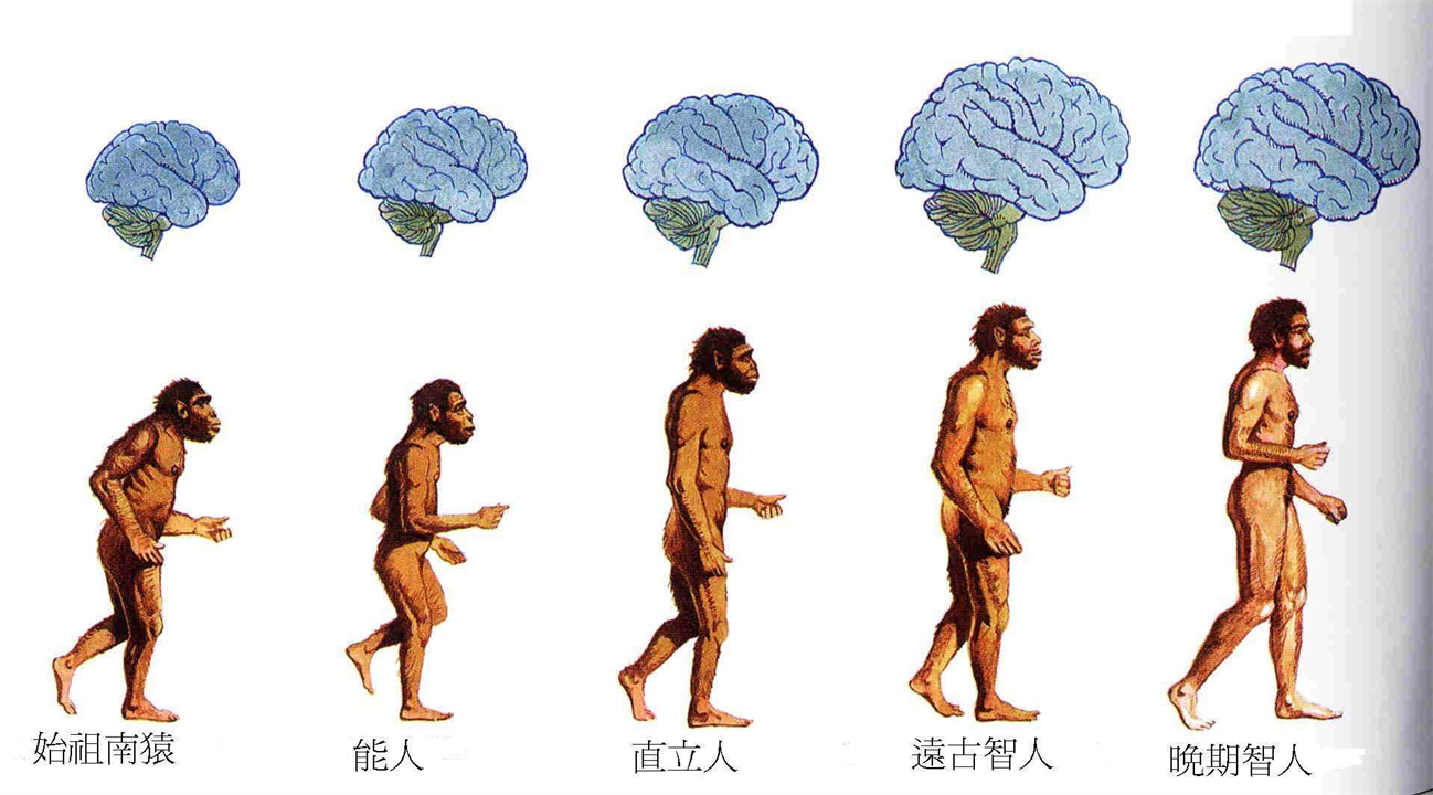 人都是女性生的，在人类出现前，世界上第一个女性是从哪里来的？