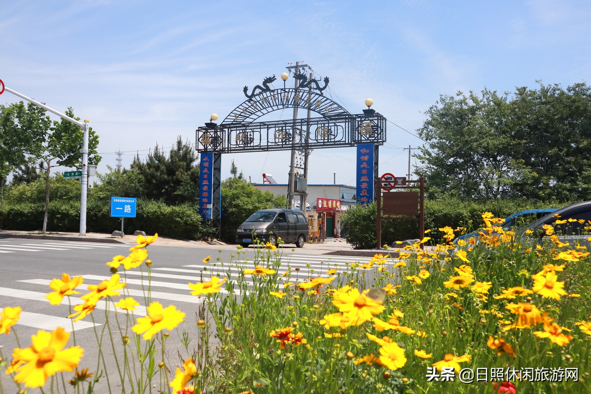 日照绿茶价格表,日照文旅