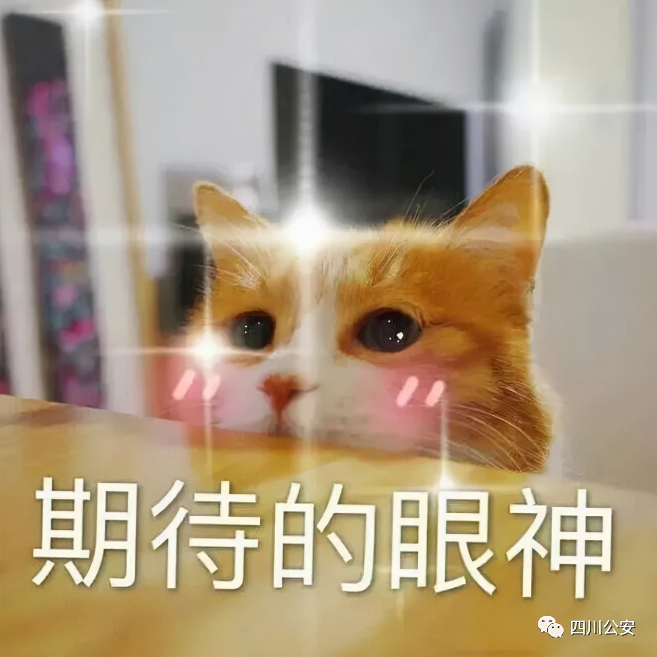 暴富指南一口气看完,暴富指南2018