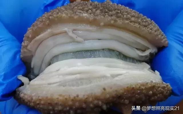 海参泡发后海参筋发黑,海参里面的筋要去掉吗