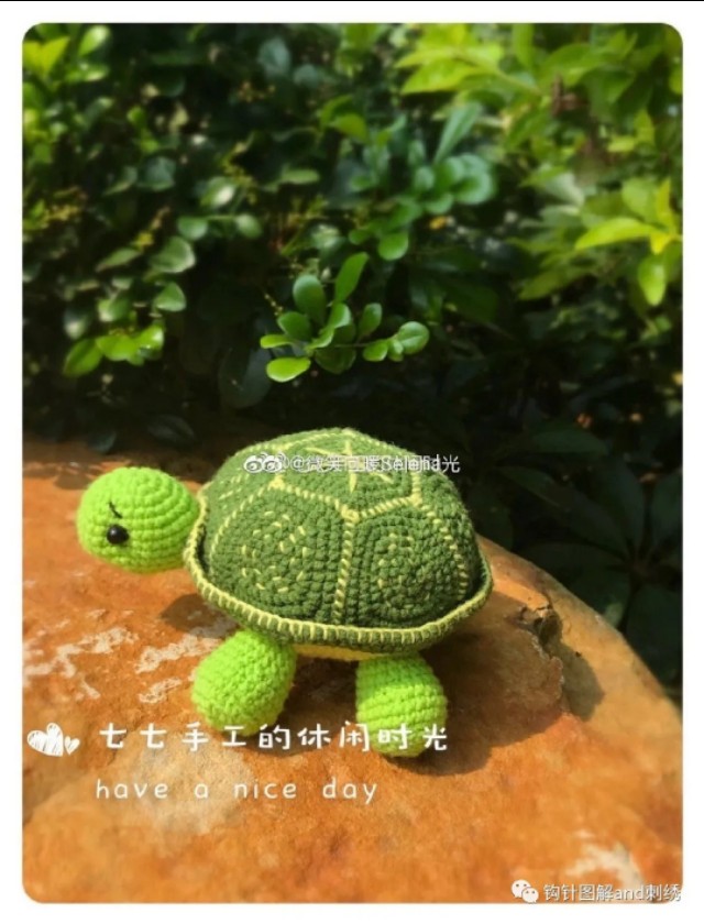 粉丝小海龟,粉丝团小乌龟