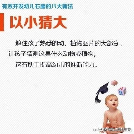开发孩子右脑怎么记忆,如何开发右脑最好方法