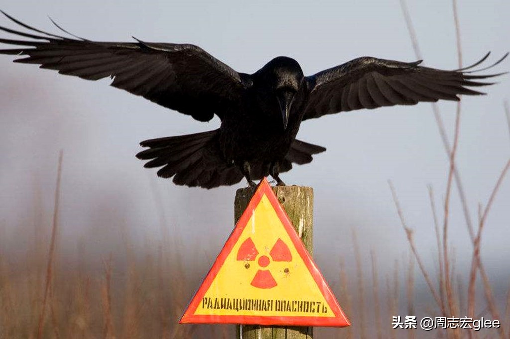 辐射与放射有什么区别,放射性钨棒辐射有多可怕