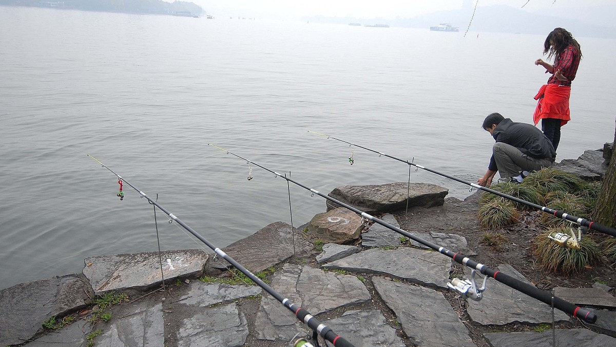 钓鱼人注意了，这六种垂钓举止，四种用饵被纳入监管，禁止使用！