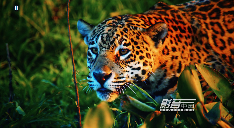 宏碁7513投影机,宏碁投影机e352d