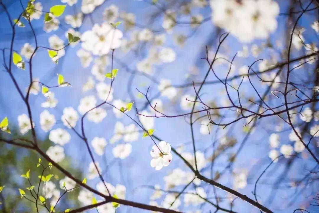 为什么越穷的人越没理财观念,人穷的时候如何学会理财