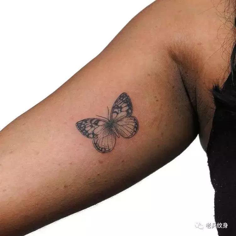 蝴蝶纹身图案,纹身素材蝴蝶后背