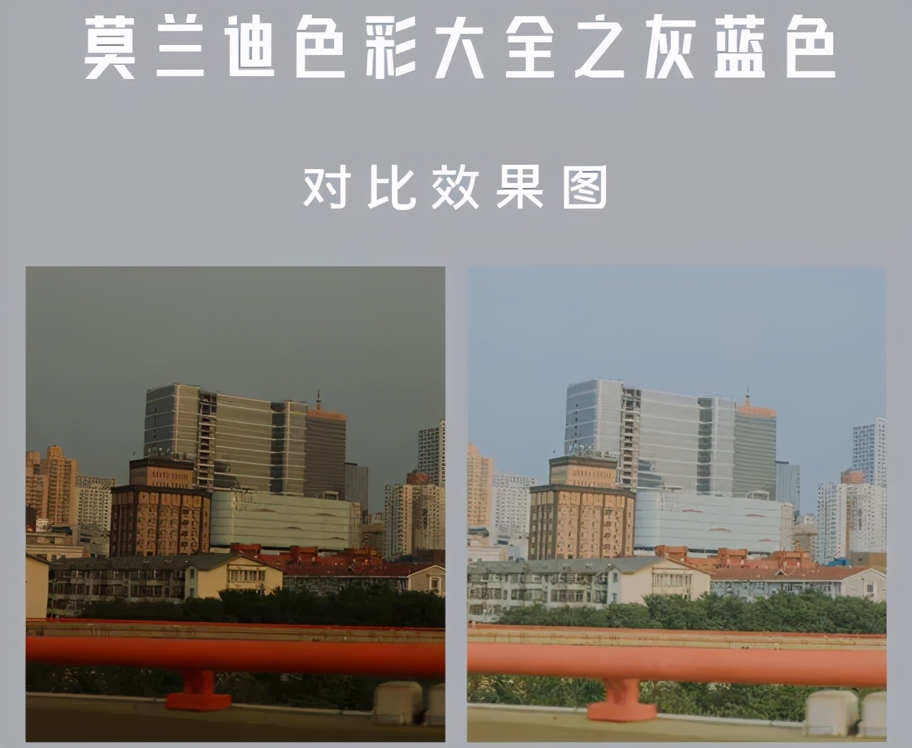 莫兰迪色绿色极致美感,莫兰迪蓝最惊艳的图