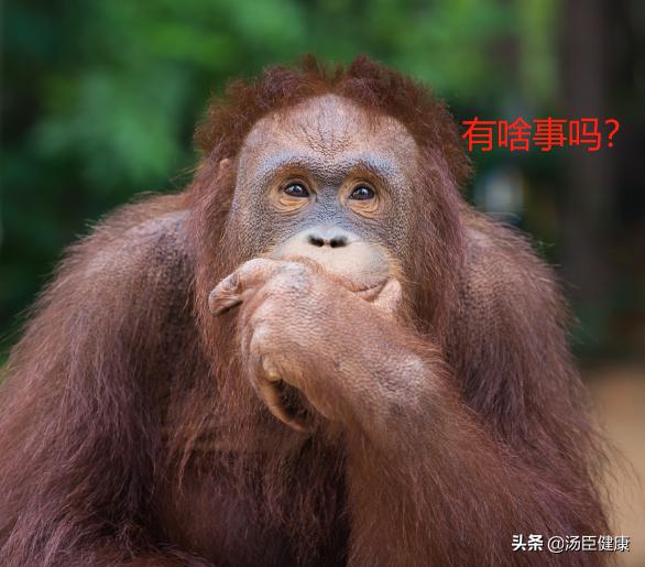 身上的皮肤可以移植到脸上吗,毛发可以移植到头皮吗