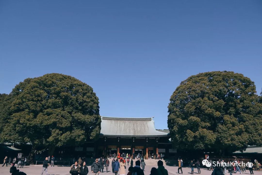 表参道和代官山的距离,表参道代官山店几点开门