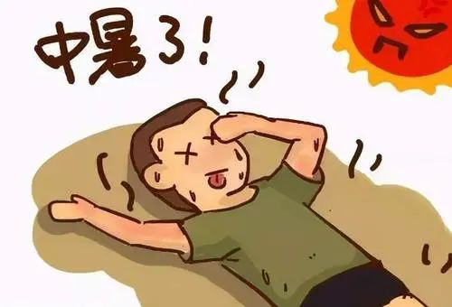 不光人类怕高温，蜘蛛也会中暑，看看蜘蛛发明的两大避暑特技