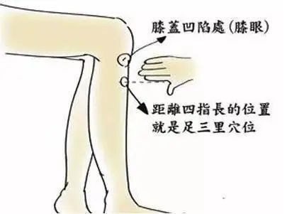 激活7个“生阳点”，源源不断升发阳气