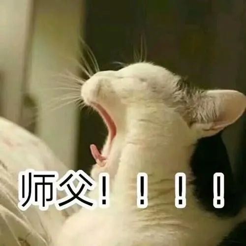 少儿《街舞》？街舞大神王晨艺联和街舞冠军，上演街舞养成计划