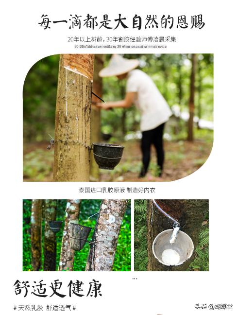 依裳之美｜天然乳胶内衣，消费者复购率达到98%，这是为什么呢？