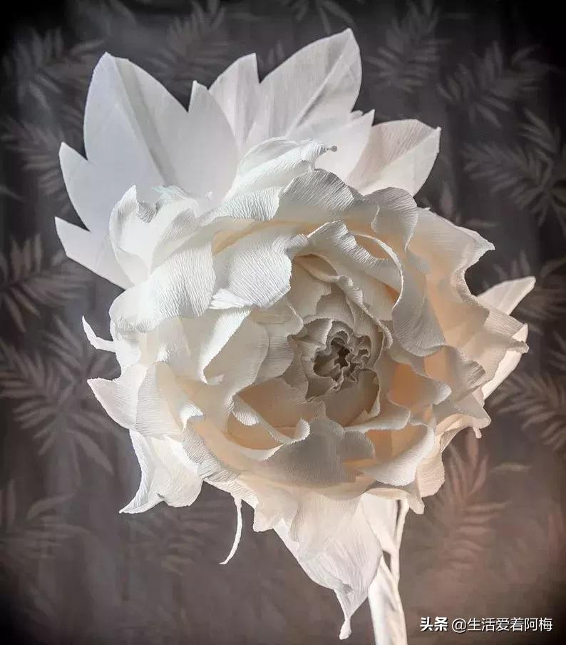 皱纹纸花作品玫瑰花,用皱纹纸做玫瑰花的纸花教程