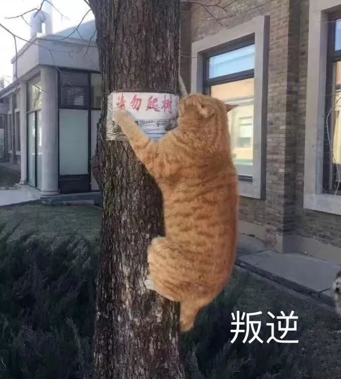 同款衣服实体店比网上贵怎么回事,同品牌的衣服实体店和网店的区别