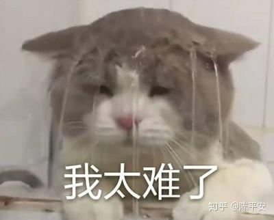 拼多多买东西遇到无良商家怎么办,拼多多商家的血泪教训