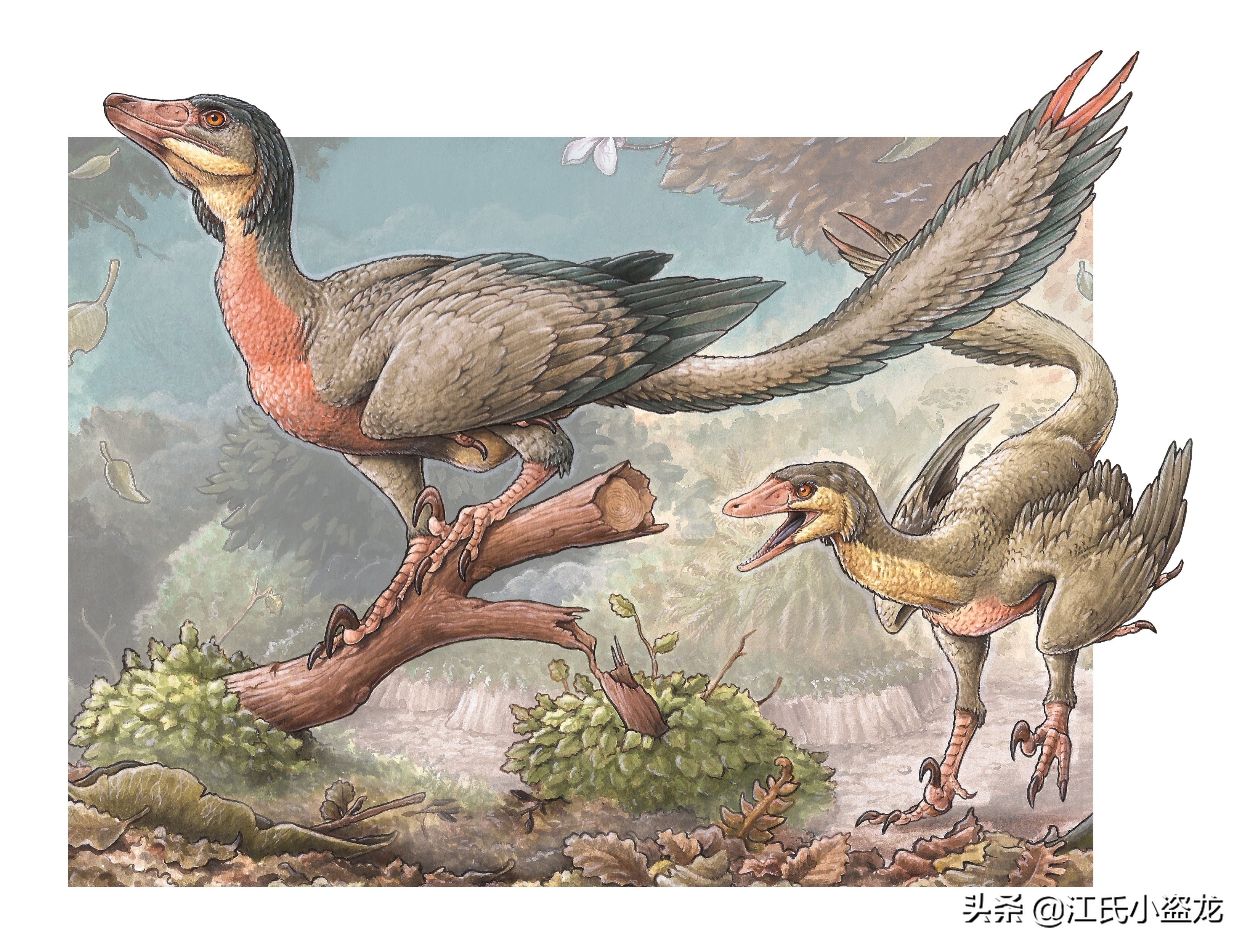 古生物时代有多少种恐龙,人类已经发现了多少恐龙种类