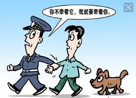 江北区养大型犬,江北宠物基地