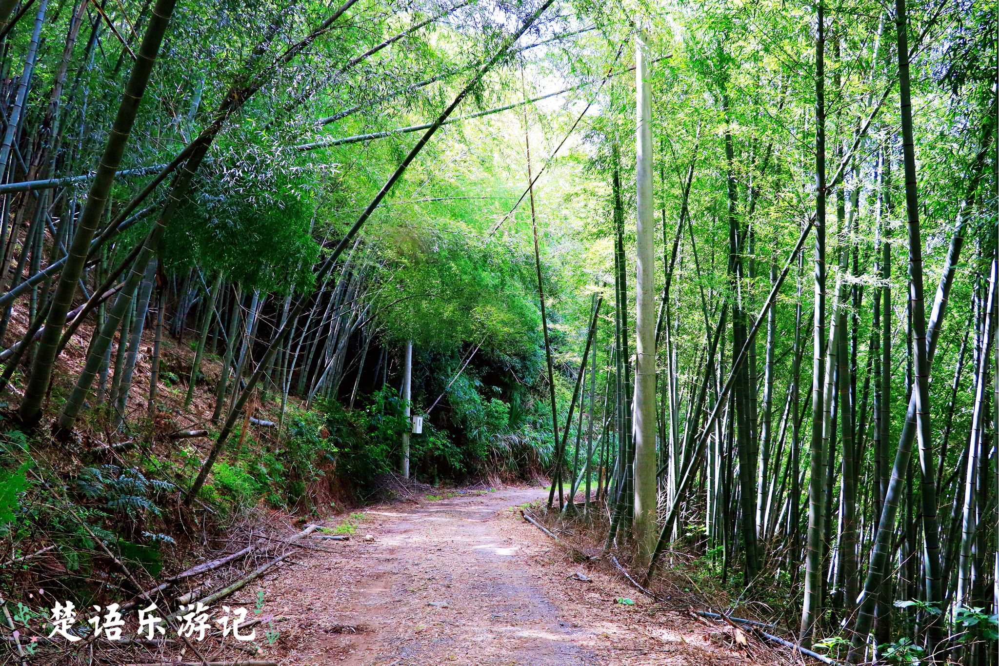 宁波北仑大碶古村落景点排行榜,宁波北仑深山老林