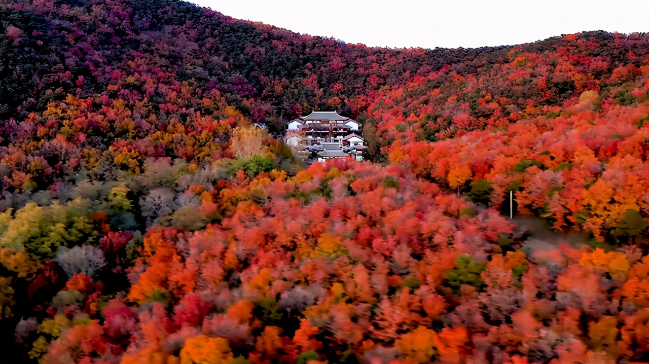 秦皇岛海边春天,秦皇岛春天新闻报道