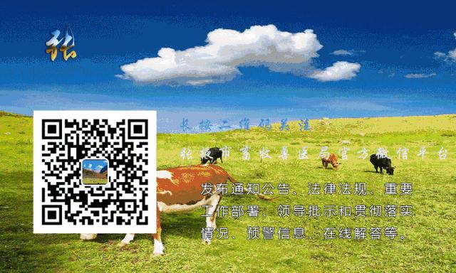 母驴胎衣不下怎么办,母驴产后没奶水怎么办